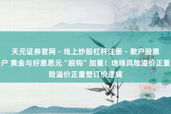 天元证券官网 - 线上炒股杠杆注册 - 散户股票配资怎么开户 黄金与好意思元“脱钩”加重！地缘风险溢价正重塑订价逻辑