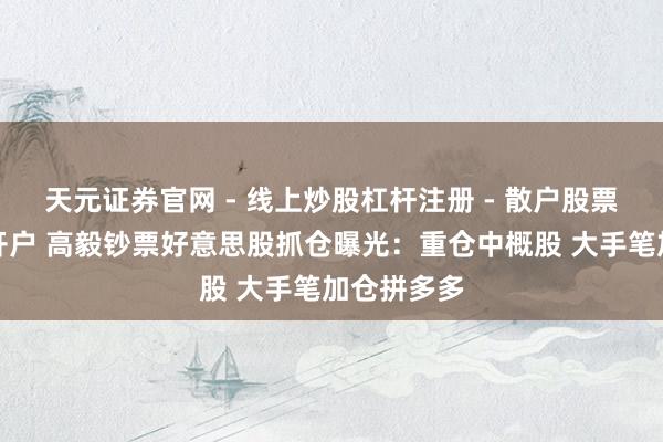 天元证券官网 - 线上炒股杠杆注册 - 散户股票配资怎么开户 高毅钞票好意思股抓仓曝光：重仓中概股 大手笔加仓拼多多