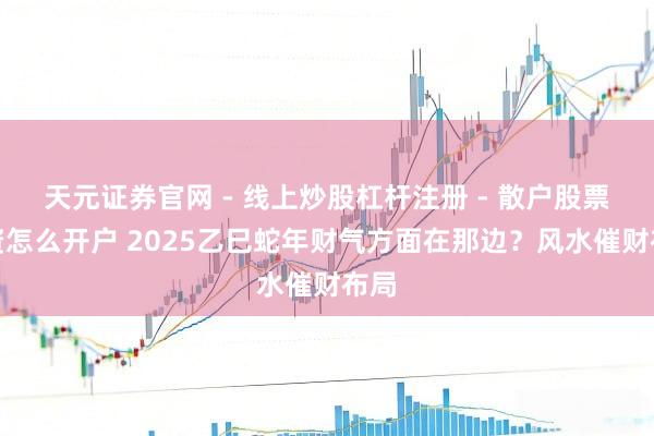 天元证券官网 - 线上炒股杠杆注册 - 散户股票配资怎么开户 2025乙巳蛇年财气方面在那边？风水催财布局