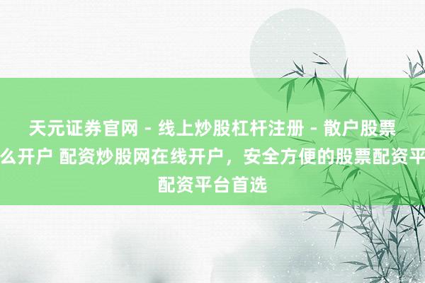 天元证券官网 - 线上炒股杠杆注册 - 散户股票配资怎么开户 配资炒股网在线开户，安全方便的股票配资平台首选