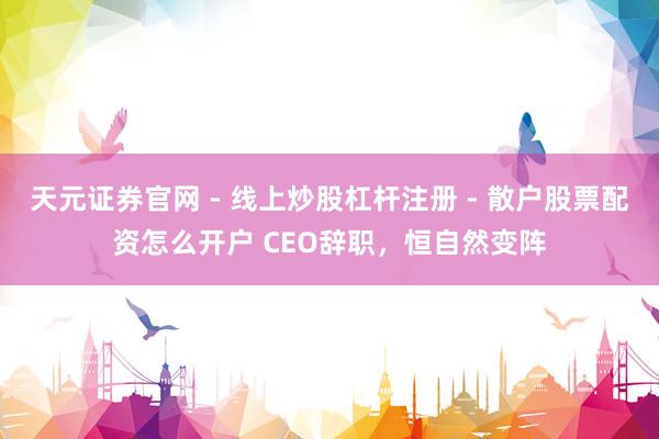 天元证券官网 - 线上炒股杠杆注册 - 散户股票配资怎么开户 CEO辞职，恒自然变阵